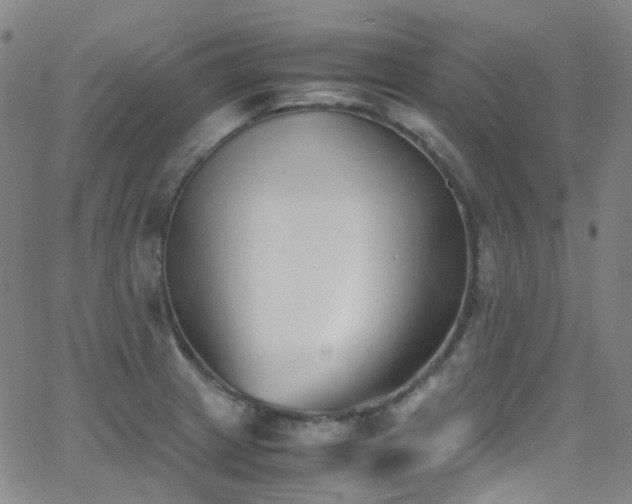 X0000062871233200601131433