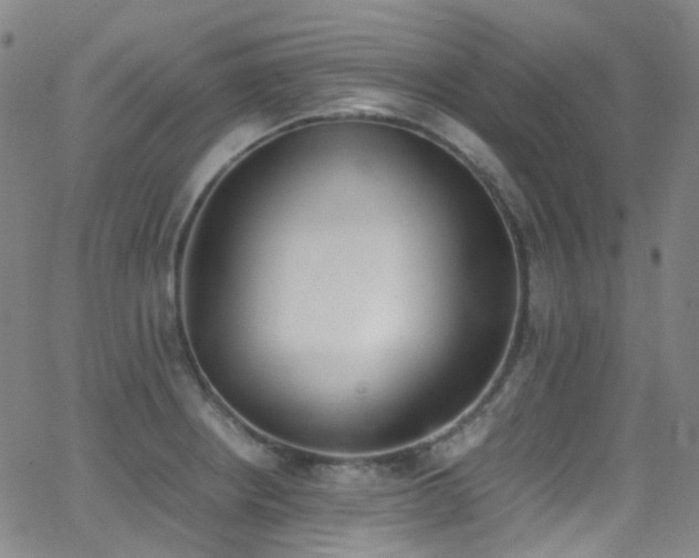 X0000062871234200601131433