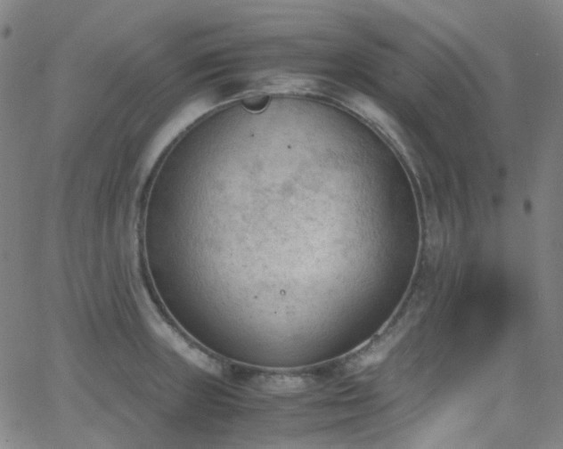 X0000062871235200601131433