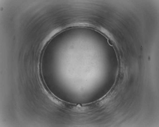 X0000062871237200601131433