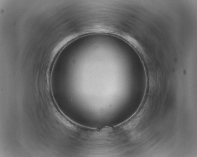 X0000062871238200601131433