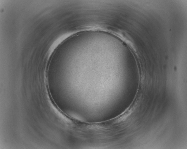 X0000062871239200601131433