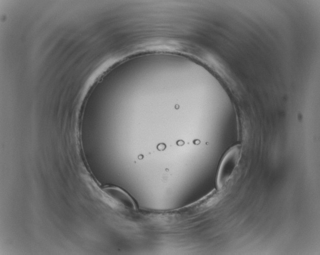 X0000062871240200601131433