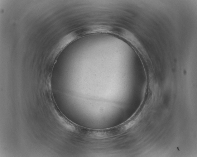 X0000062871241200601131433