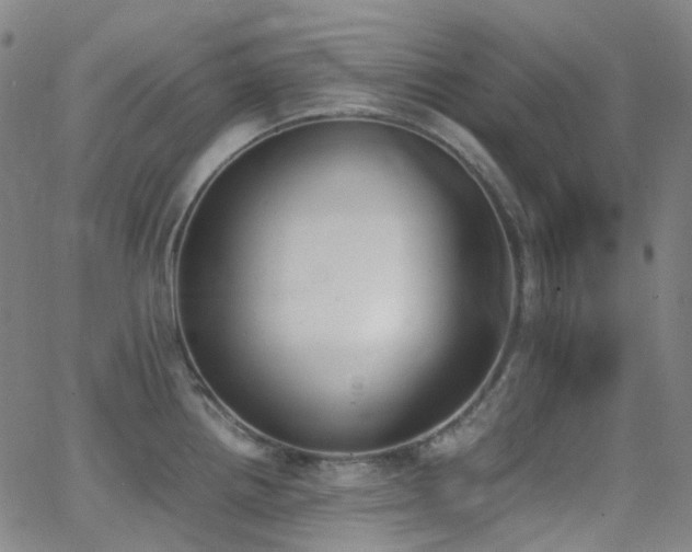 X0000062871242200601131433