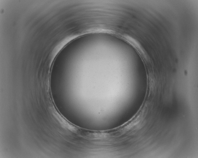 X0000062871244200601131433