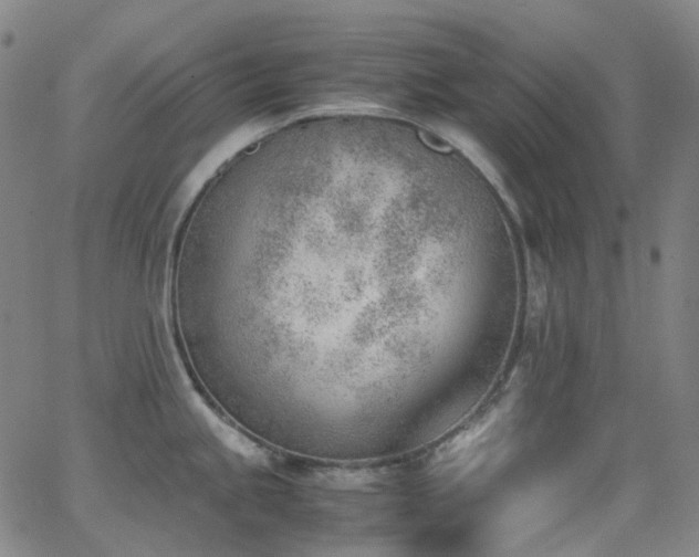 X0000062871245200601131433