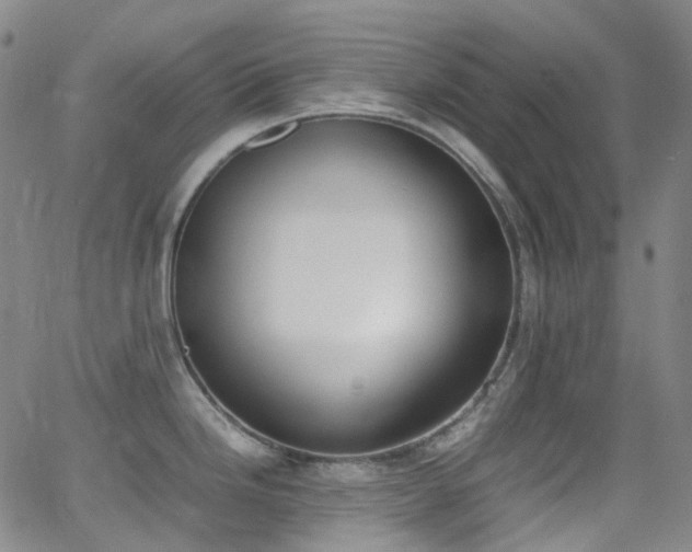 X0000062871246200601131433