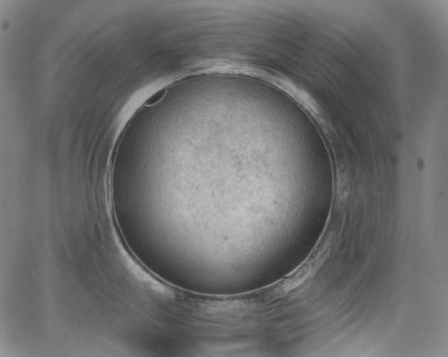 X0000062871247200601131433