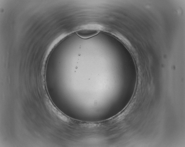 X0000062871248200601131433