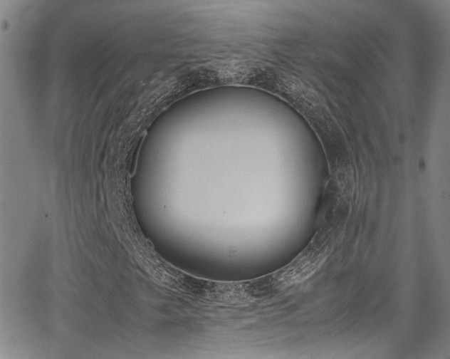 X0000062871249200601131432