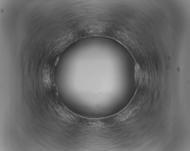 X0000062871250200601131432