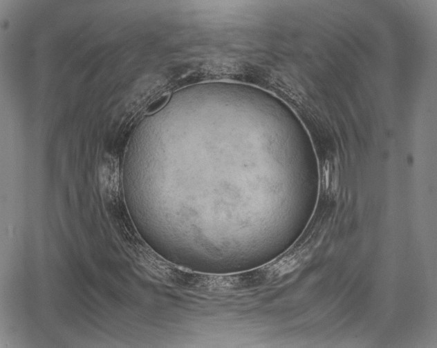 X0000062871251200601131432