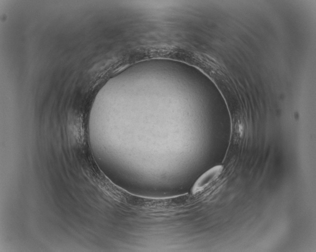 X0000062871252200601131432