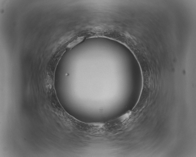 X0000062871253200601131432