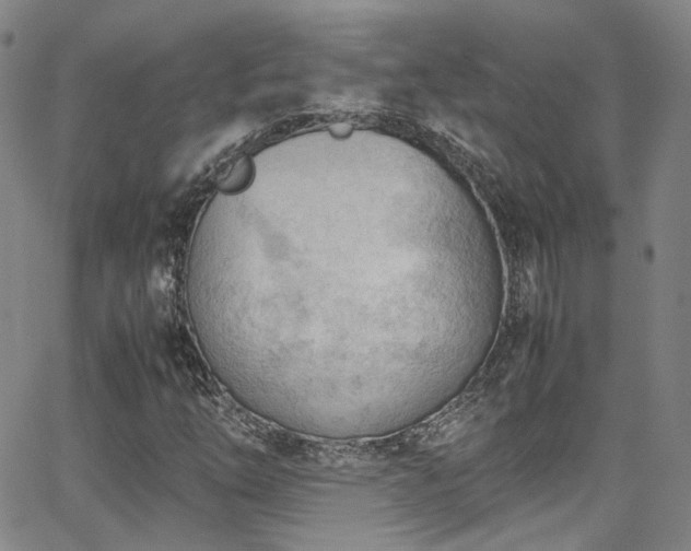 X0000062871254200601131432