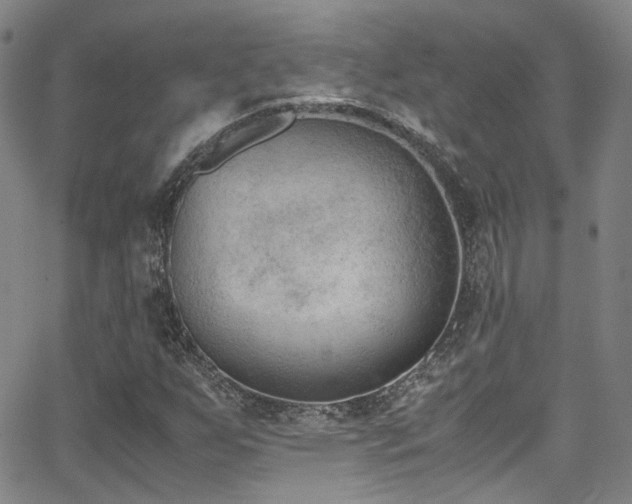 X0000062871255200601131432