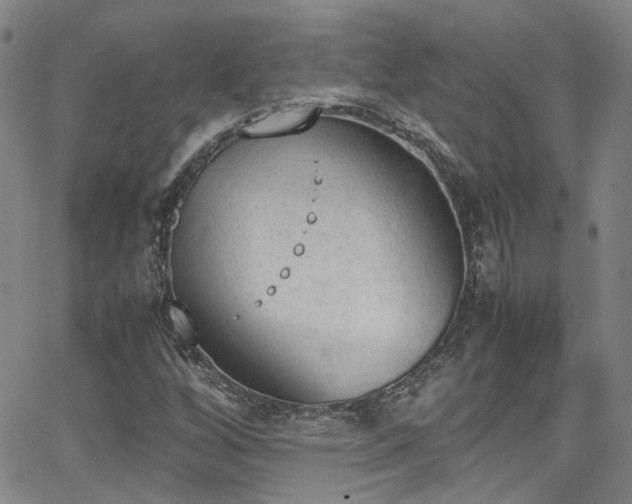 X0000062871256200601131432