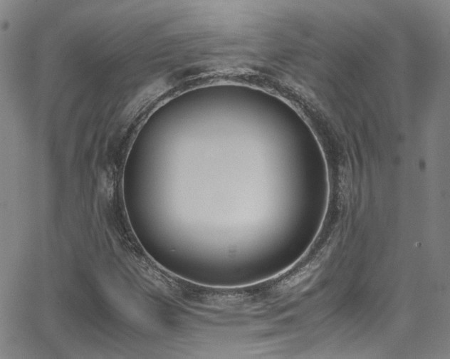 X0000062871257200601131432