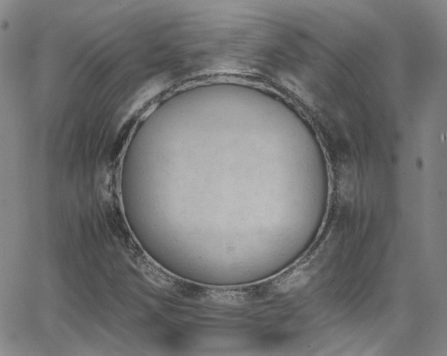 X0000062871258200601131432