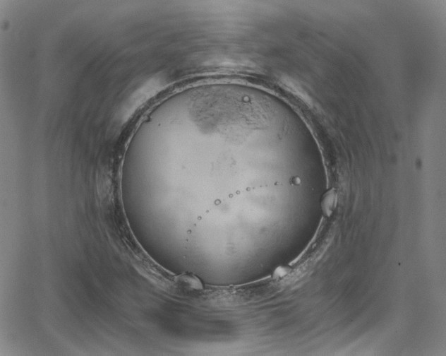 X0000062871259200601131432