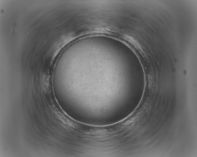 X0000062871260200601131432