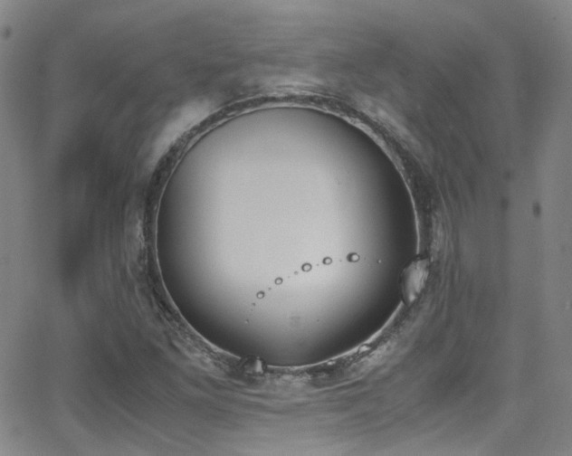 X0000062871261200601131432