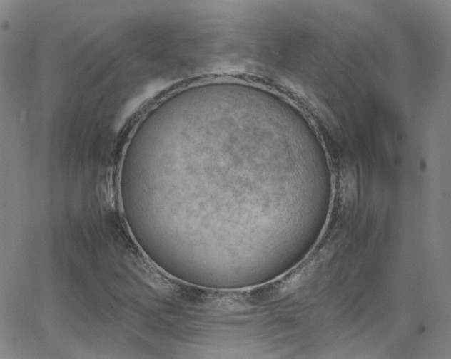 X0000062871262200601131432