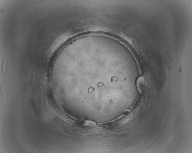 X0000062871263200601131432