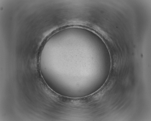 X0000062871264200601131432