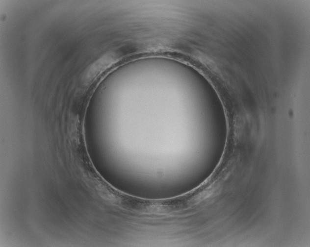 X0000062871265200601131432