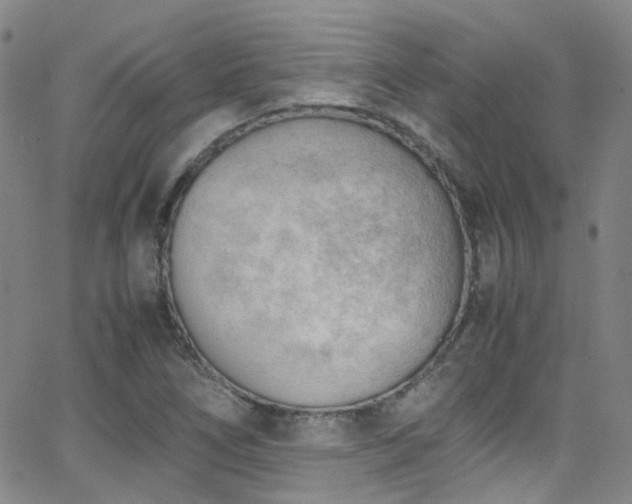 X0000062871266200601131432