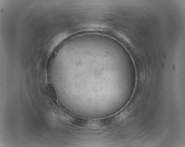 X0000062871267200601131432