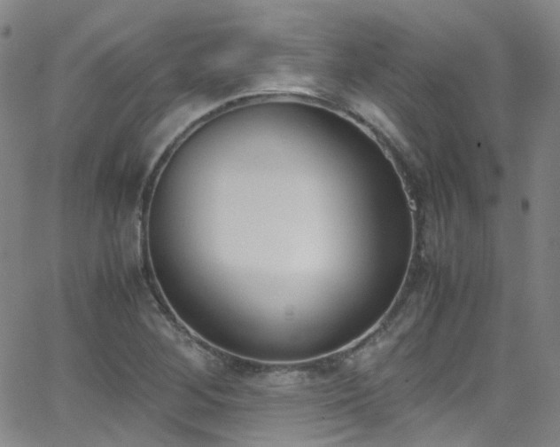 X0000062871268200601131432