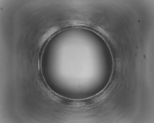 X0000062871269200601131432