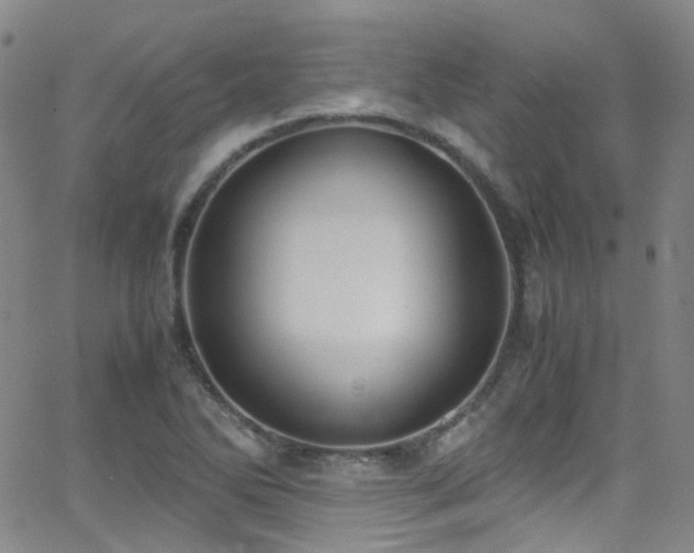 X0000062871270200601131432