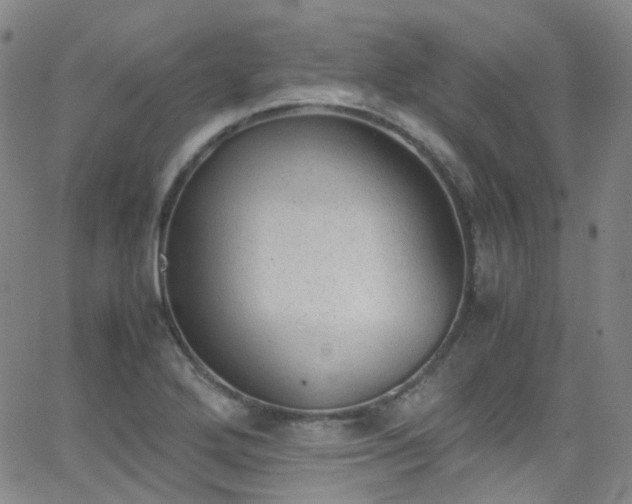 X0000062871272200601131432