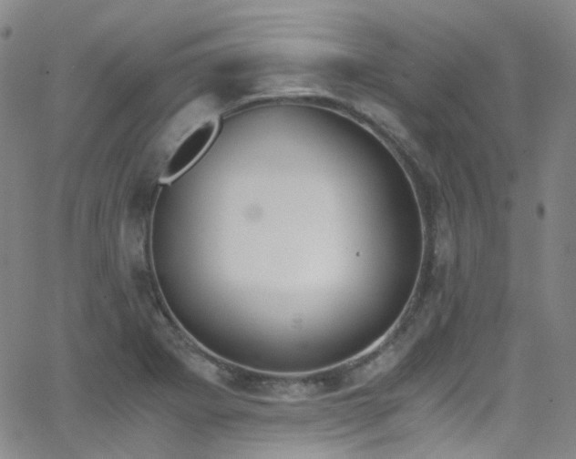 X0000062871273200601131432