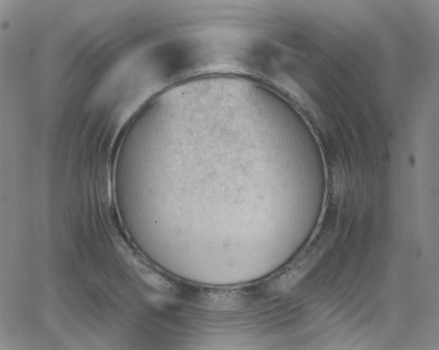 X0000062871274200601131432