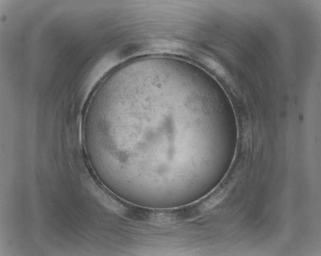 X0000062871275200601131432