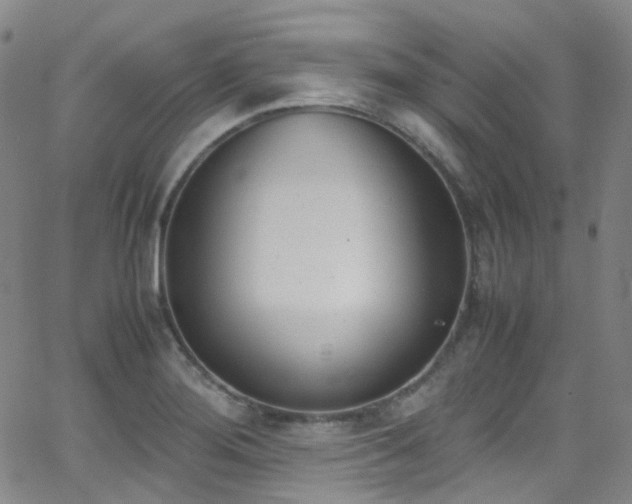 X0000062871276200601131432