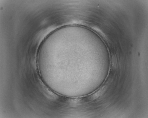 X0000062871278200601131432