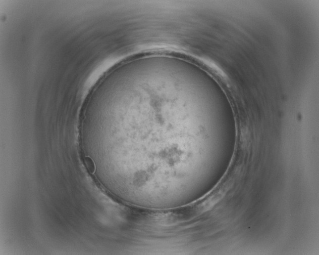 X0000062871279200601131432