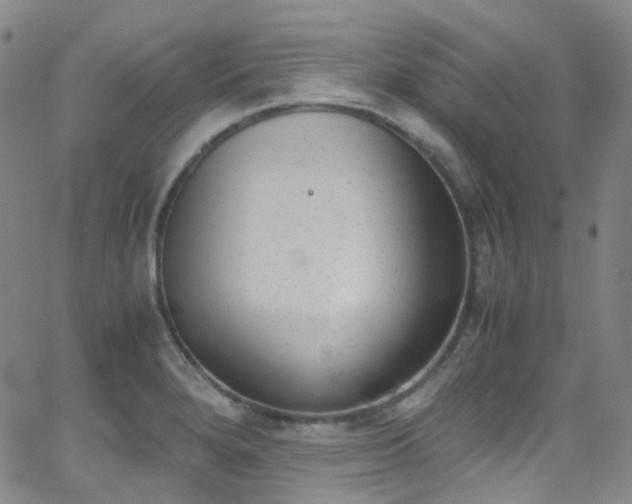 X0000062871280200601131432