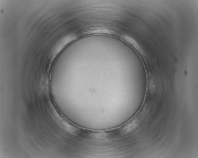 X0000062871282200601131432