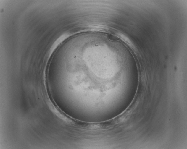 X0000062871283200601131432