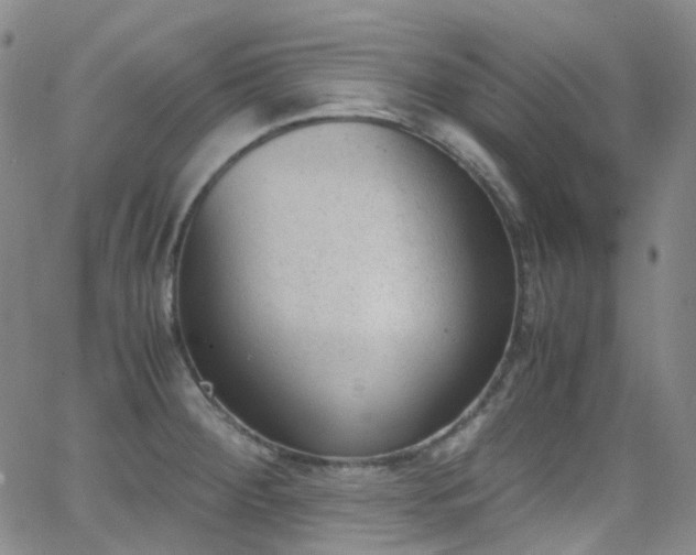 X0000062871284200601131432