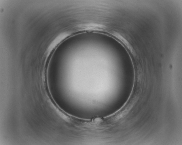 X0000062871285200601131432