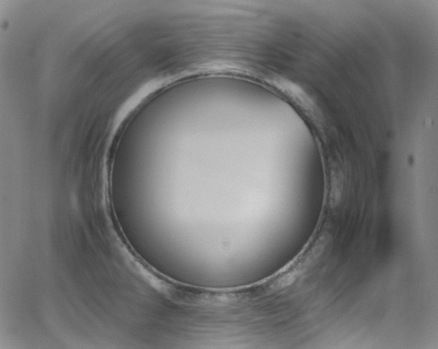 X0000062871286200601131432