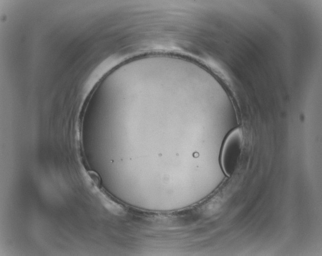 X0000062871287200601131432